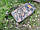 Набір для військового (туриста, мисливця) YB-A 8в1 (у кейсі) Камуфляж, фото 6