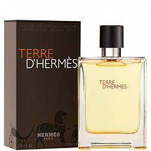 Hermes Terre d'hermes Eau De Toilette туалетна вода 100 ml. (Гермес Терра Д Гермес), фото 3