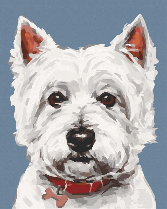 Акційна Картина за номерами ArtCraft Вайт тер'єр (ACR-11652-AC) 40 х 50 см, фото 1