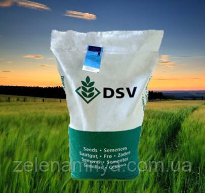 Насіння озимового ріпаку Принц (DSV)