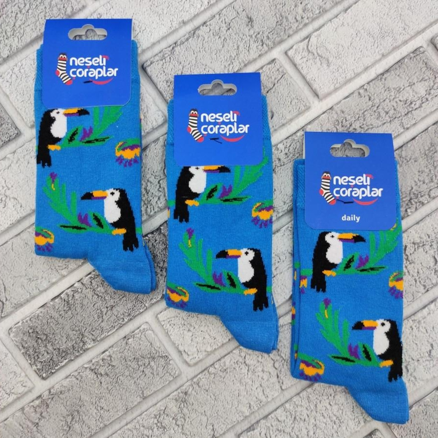 Шкарпетки високі весна/осінь Neseli Coraplar Toucan Blue 7172 Туреччина one size (37-44р) 20034740
