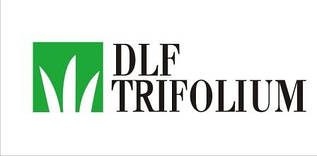 Насіння газонних трав Універсал DLF Trifolium