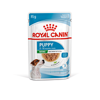 Консервы Royal Canin Mini Puppy (Роял Канин Мини Паппи) для щенков 12х85грамм