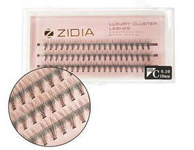 Zidia Cluster lashes 10D C 0.10 (3 стрічки, розмір 10 mm)