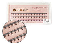 Zidia Cluster lashes 10D C 0.10 (3 стрічки, розмір 6 mm)