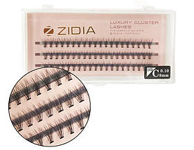 Zidia Cluster lashes 10D C 0.10 (3 стрічки, розмір 8 mm)