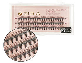 Zidia Cluster lashes 20D C 0.10 (3 ленты, размер 10 mm)