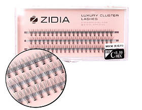 Zidia Cluster lashes 10D C 0.10 Mix M (3 стрічки, розмір 9, 10, 11 mm)