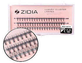 Zidia Cluster lashes 10D C 0.10 Mix S (3 стрічки, розмір 8, 9, 10 mm)