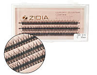 Zidia Cluster lashes fish tail 12D C 0.10 (3 ленты, размер 10 mm)