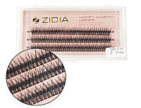 Zidia Cluster lashes fish tail 12D C 0.10 (3 стрічки, розмір 11 mm)