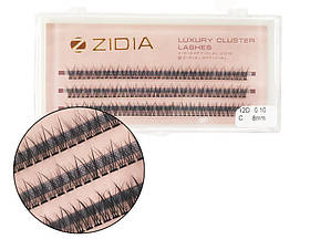 Zidia Cluster lashes fish tail 12D C 0.10 (3 стрічки, розмір 8 mm)