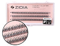 Zidia Cluster lashes fish tail 12D C 0.10 Mix S (3 стрічки, розмір 8, 9, 10 mm)