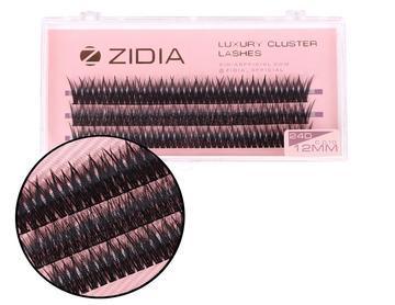 Zidia Cluster lashes fish tail 24D C 0.10 (3 стрічки, розмір 12 mm)