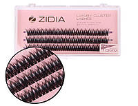 Zidia Cluster lashes fish tail 24D C 0.10 (3 стрічки, розмір 10 mm)