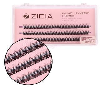 Zidia Cluster lashes fish tail 24D C 0.10 (3 стрічки, розмір 8 mm)
