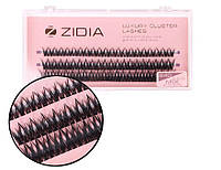 Zidia Cluster lashes fish tail 24D C 0.10 Mix (3 стрічки, розмір 8, 10, 12 mm)