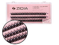 Zidia Cluster lashes fish tail 24D C 0.10 Mix S (3 стрічки, розмір 8, 9, 10 mm)