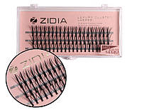 Zidia Cluster lashes 16D KIM C 0.10 (3 стрічки, розмір 14 mm)