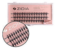 Zidia Cluster lashes 16D KIM C 0.10 (3 стрічки, розмір 10 mm)