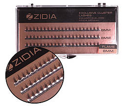 Zidia Cluster lashes Flame Series C 0.10 (3 стрічки, розмір 6 mm)