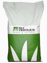 Насіння газону PARK(ПАРК) 20 кг DLF-TRIFOLIUM