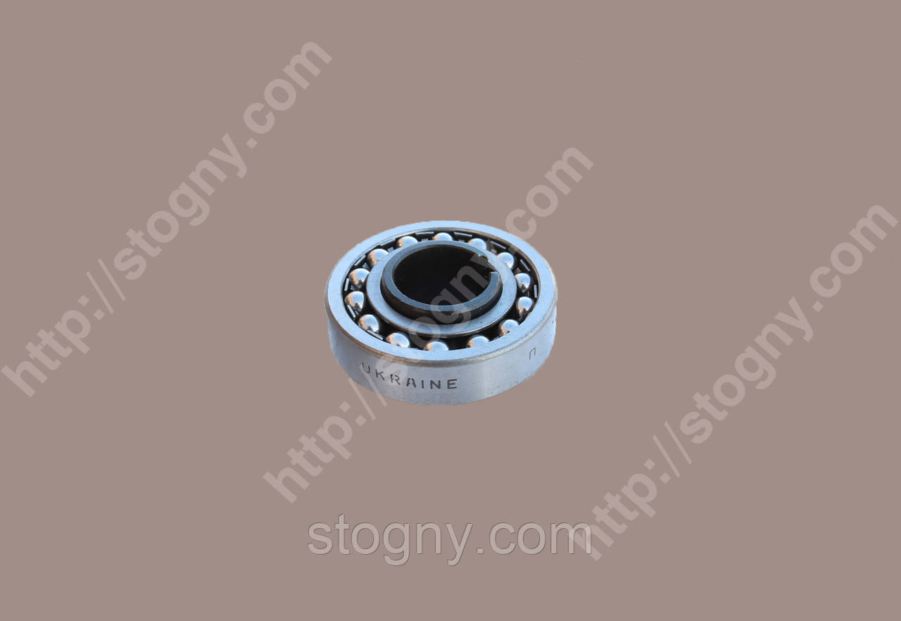 Підшипник 11205 (1206К+Н206)