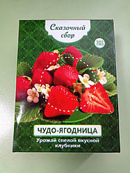 Диво-ягодя Казковий збір - набір для вирощування клубники на підвіконні