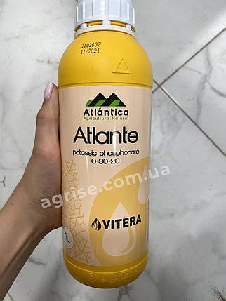 Мікродобриво Атланте (Atlante) Аtlantika 1л, фото 1