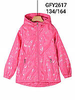 Куртки на флисовой подкладке для девочек в оптом, Glo-story, 134-164 рр. GFY2617