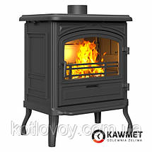Камінна топка KAWMET Premium ATHENA (12,3 kW) EKO, фото 3