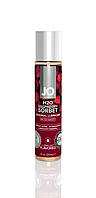 Мастило на водній основі System JO H2O — Raspberry Sorbet (30 мл)