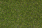Штучна трава Betap Spectrum 15, фото 2