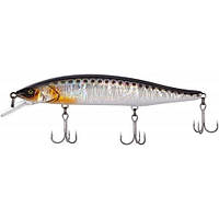 RV-MINNOW
