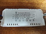 №170 Драйвер (без пульта) + APP Driver 24-40Wx2+LED 220V DC72-140V 250mA (2x2pin), фото 3