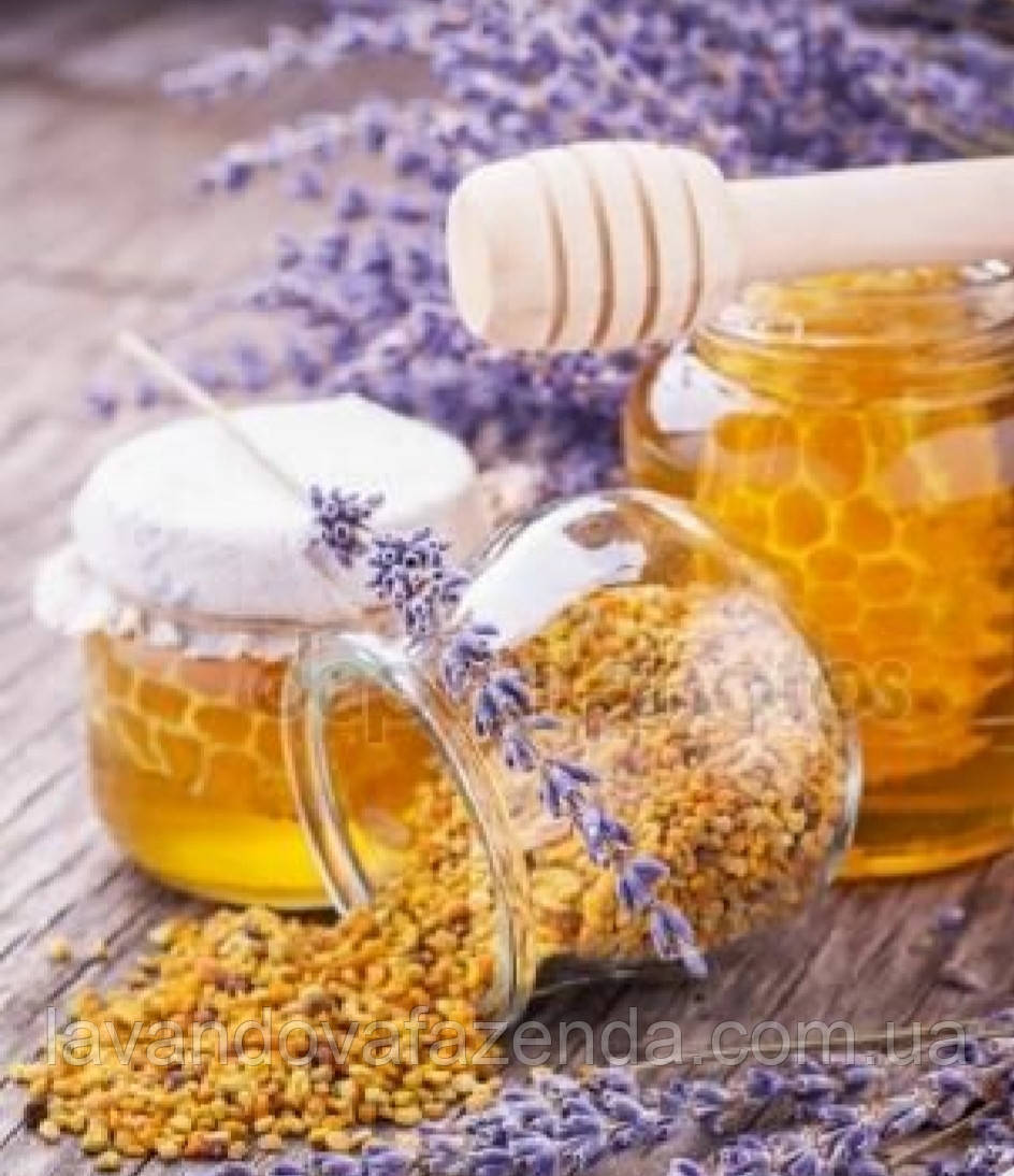 Лавандовий мед, фото 1