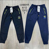 Спортивные брюки для мальчиков S&D 116-146 р.р.