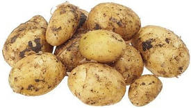 Картопля немита