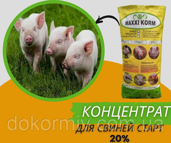 Концентрат для поросят старт 20%, фото 1