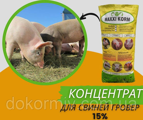 Концентрат 15% для свиней (від 30-60 кг), фото 1