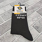Шкарпетки високі весна/осінь Rock'n'socks 455-06 Гріш яскравіше Україна one size (37-44р) НМД-0510830, фото 2
