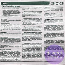 Норм - нормалізація обміну речовин CHOICE (Чойс), фото 6