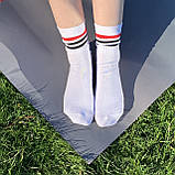 Шкарпетки чоловічі смугасті серії TREN 23-25 р. (12 пар!) (Демісезон/літні) Варос, фото 2