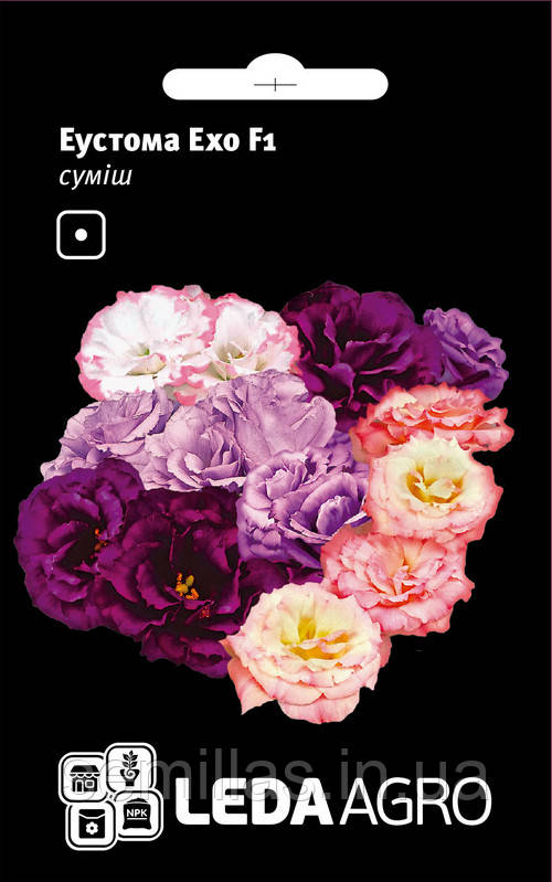 Насіння Еустоми Ехо F1, 5 шт., суміш