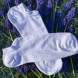 Шкарпетки жіночі стрейч короткі 23-25 р. (Демісезонні) Варос, фото 2