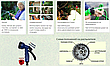 Шланг для поливання X HOSE 60 м із розпилювачем, садовий шланг, поливальний шланг для саду, фото 7