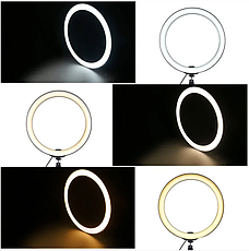 Кільцева світлодіодна Led-лампа для блогера селфі фотографа візажиста D 26 см Ring, фото 4