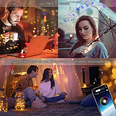 Розумна bluetooth гірлянда RGB для ялинки та новорічного декору (керування кольору з телефона) 15 м 150 LED, фото 6
