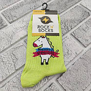 Шкарпетки високі весна/осінь Rock'n'socks 444-60 Україна one size (37-40р) НМД-0510507, фото 2