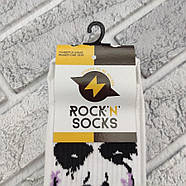 Шкарпетки високі весна/осінь Rock'n'socks 444-81 Україна one size (37-44р) НМД-0510586, фото 10